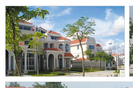 塑料護坡模具銷售價格及廠家概述——以河北清苑縣國通模具廠為例